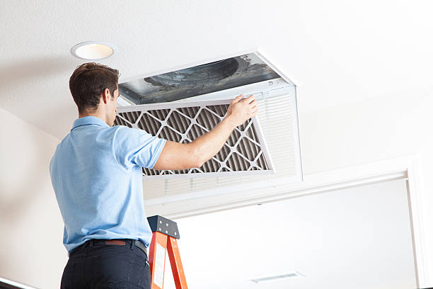 Best Air Conditioning Cleaning in Mount Carroll, IL